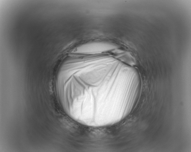 X0000070191205200606232004