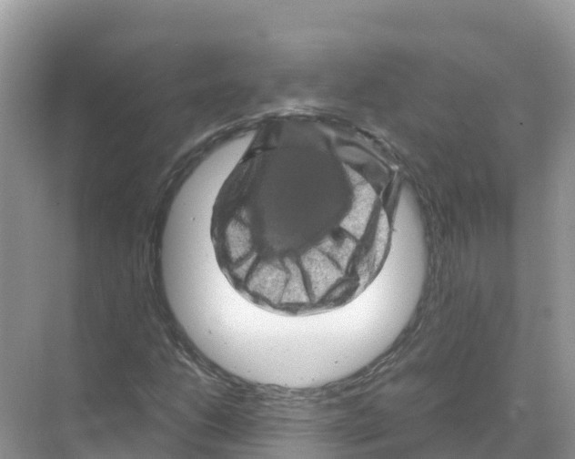 X0000070191206200606232004