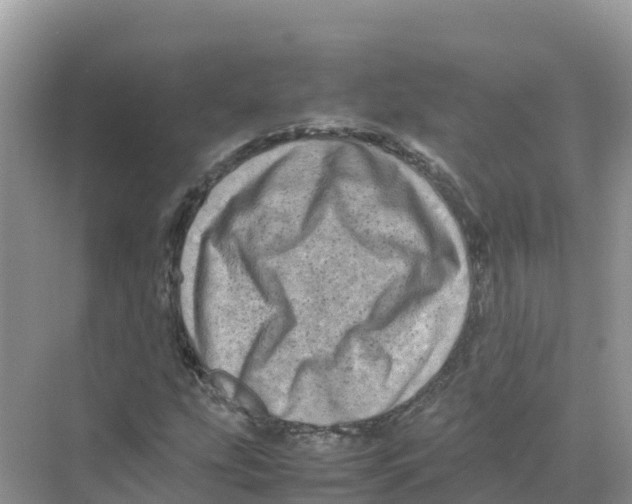 X0000070191207200606232004