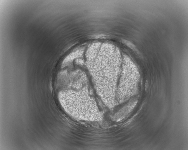 X0000070191209200606232004