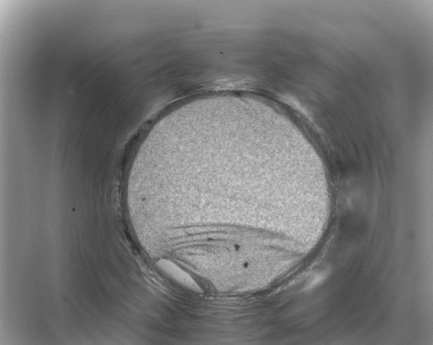 X0000070191211200606232004