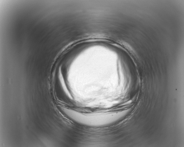 X0000070191212200606232004