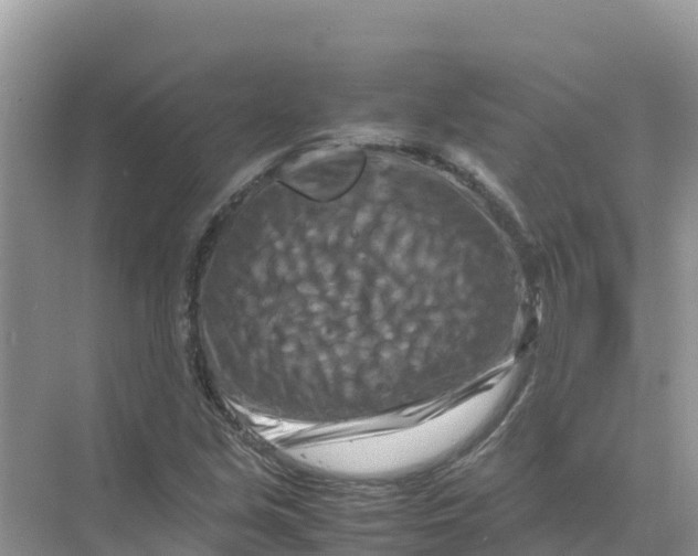 X0000070191213200606232004