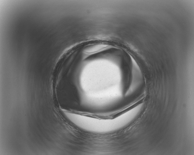 X0000070191214200606232004