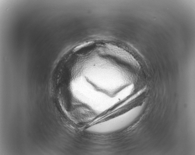 X0000070191215200606232004