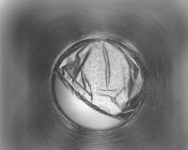 X0000070191216200606232004