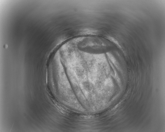 X0000070191219200606232004