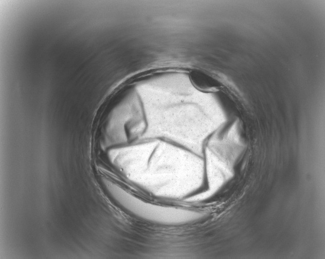 X0000070191220200606232004