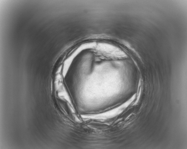 X0000070191221200606232004