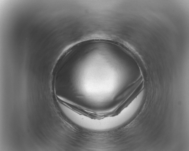 X0000070191222200606232004