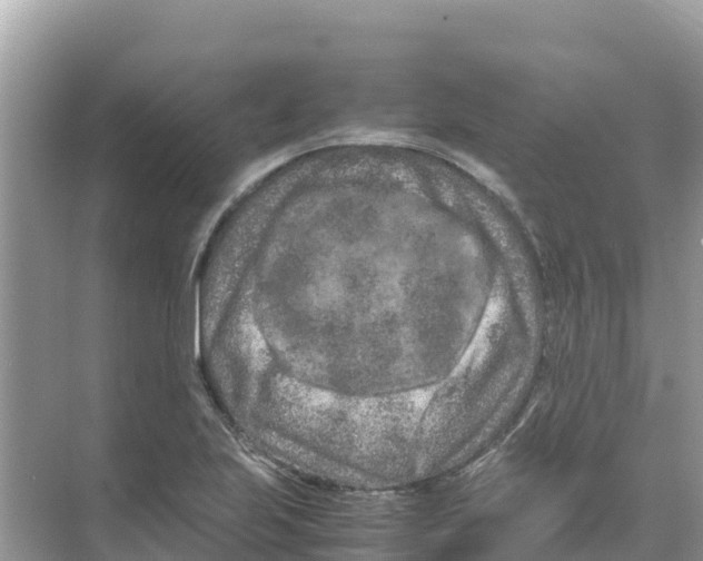 X0000070191223200606232004