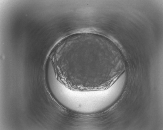 X0000070191224200606232004