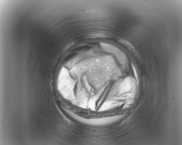 X0000070191225200606232004