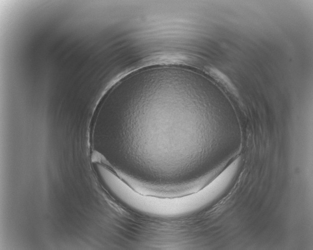 X0000070191226200606232004