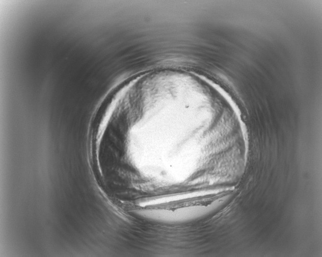 X0000070191227200606232004