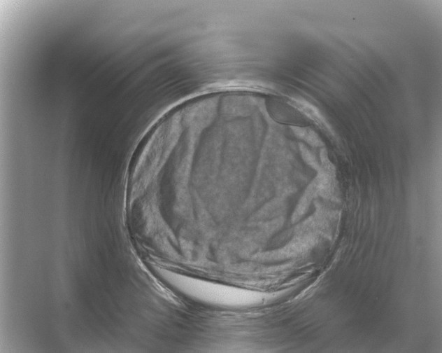 X0000070191228200606232004