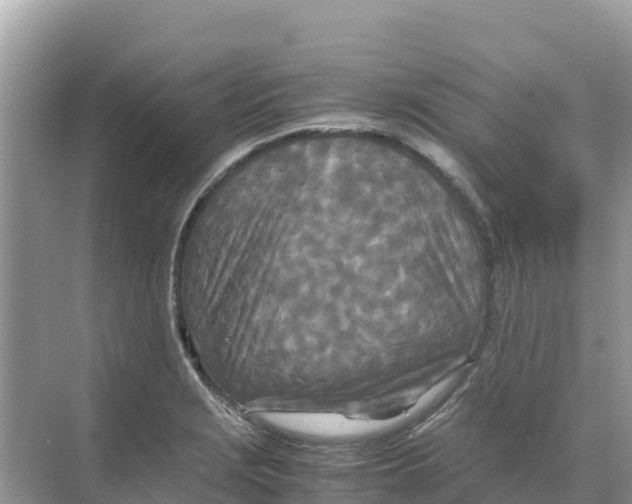 X0000070191229200606232004