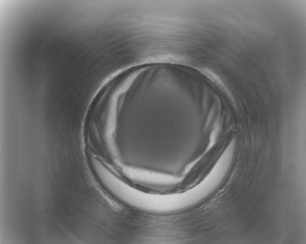 X0000070191230200606232004