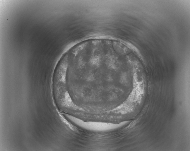 X0000070191231200606232004