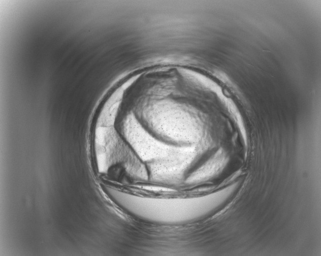 X0000070191232200606232004