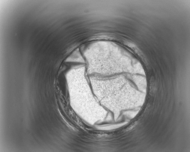 X0000070191233200606232004