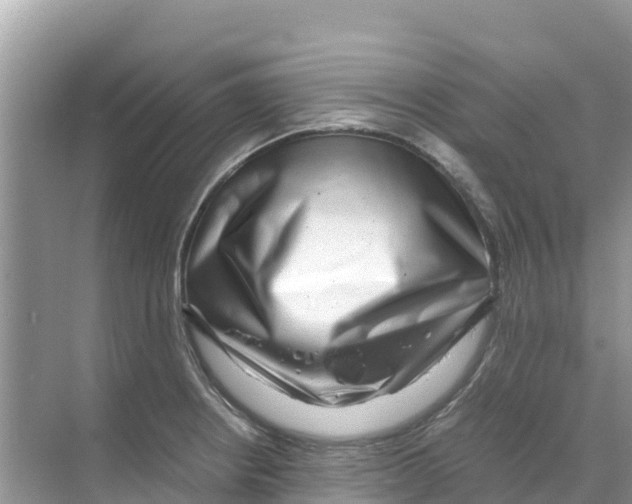 X0000070191234200606232004