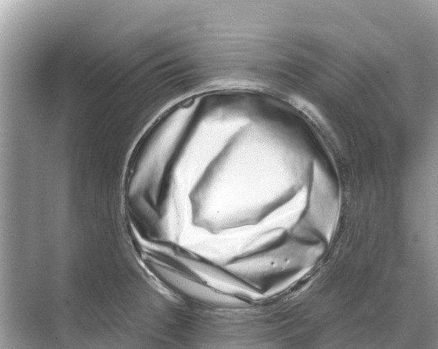 X0000070191236200606232004