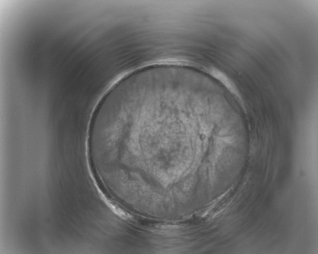 X0000070191237200606232004