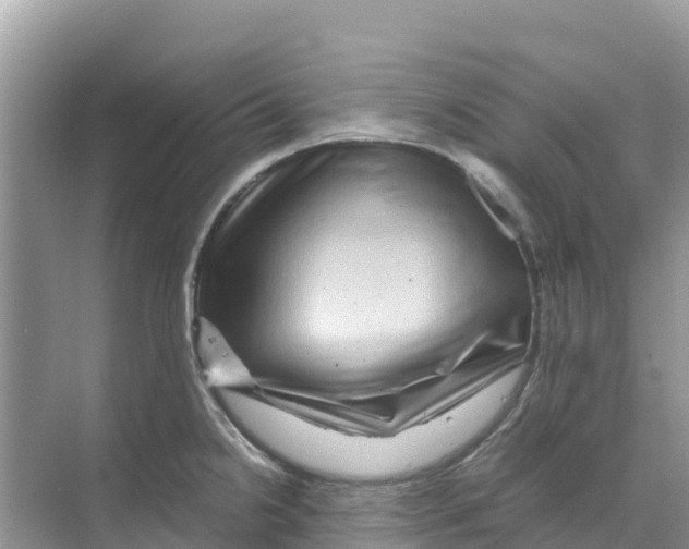 X0000070191238200606232004