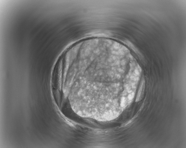 X0000070191240200606232004