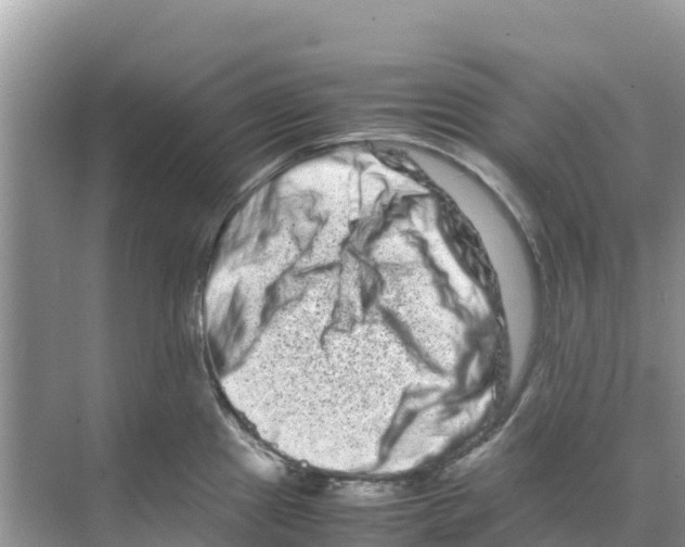 X0000070191241200606232004