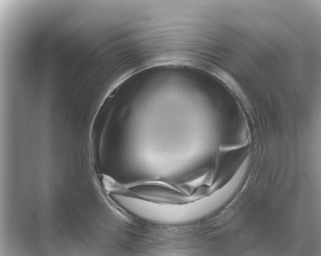 X0000070191242200606232004