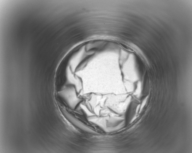 X0000070191244200606232004