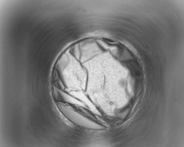 X0000070191248200606232004