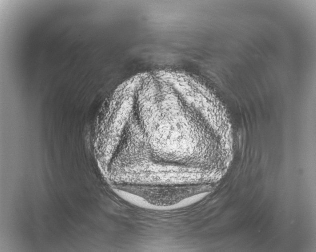 X0000070191251200606232003