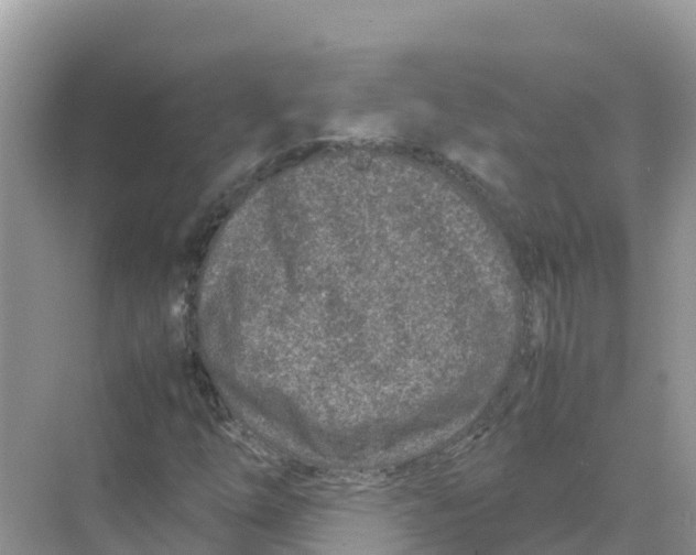 X0000070191254200606232003