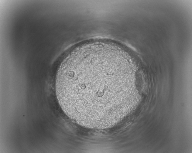 X0000070191255200606232003