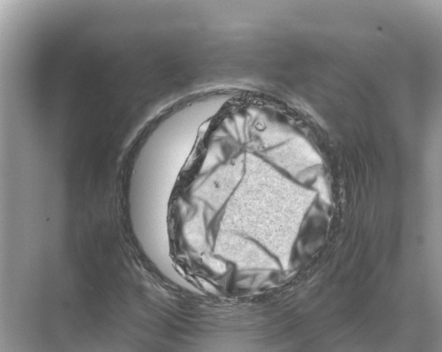 X0000070191256200606232003