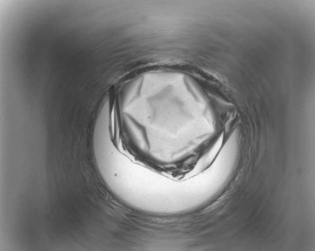 X0000070191257200606232003