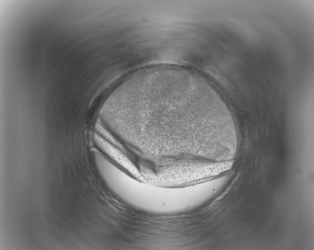 X0000070191258200606232003