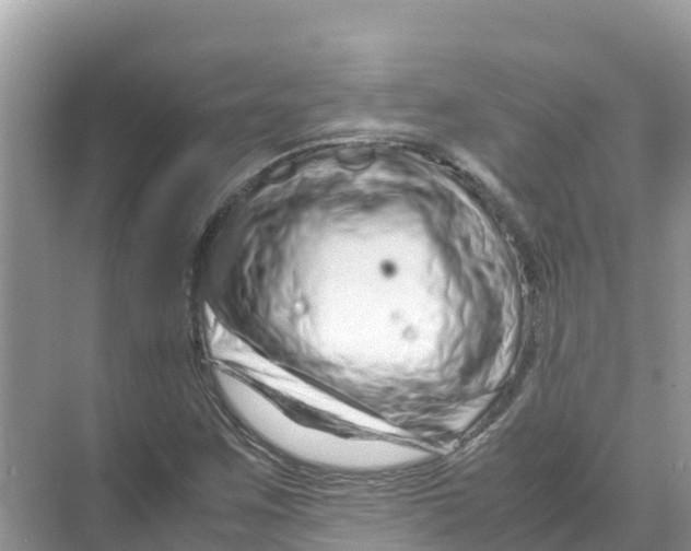 X0000070191259200606232003