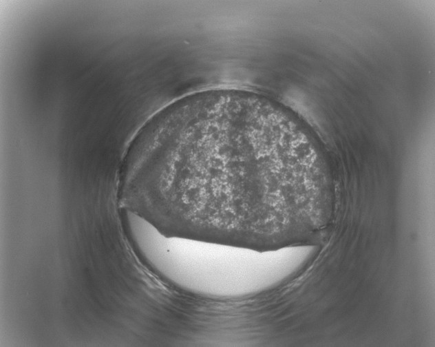 X0000070191260200606232003