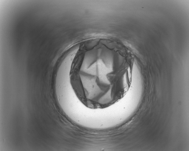 X0000070191261200606232003