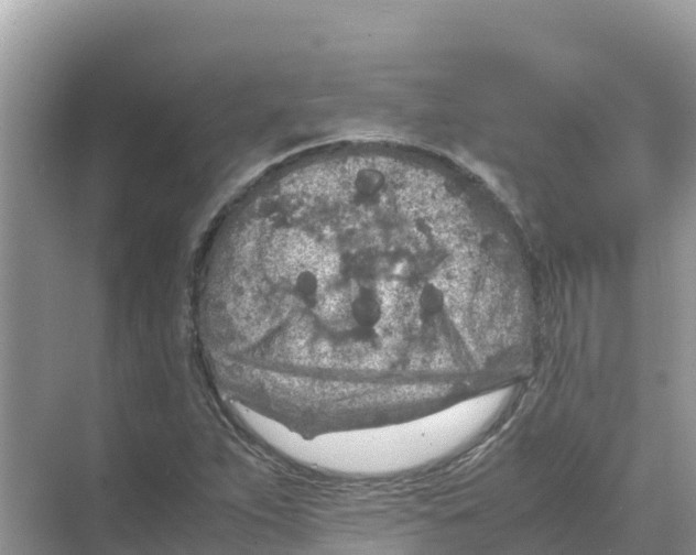 X0000070191263200606232003