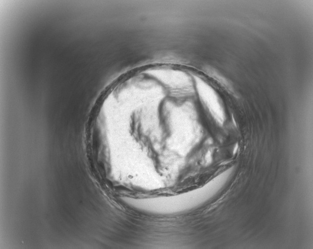 X0000070191264200606232003