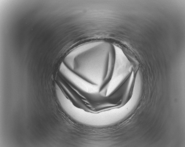 X0000070191265200606232003