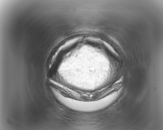 X0000070191267200606232003