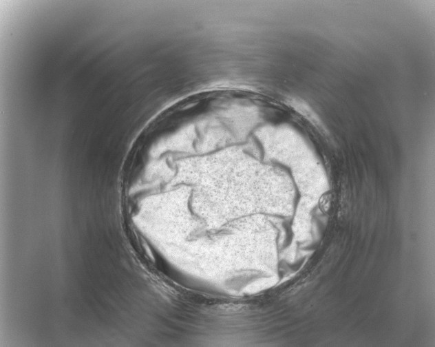 X0000070191268200606232003