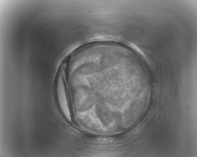 X0000070191269200606232003