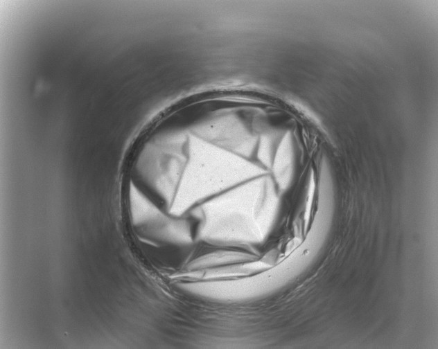 X0000070191270200606232003